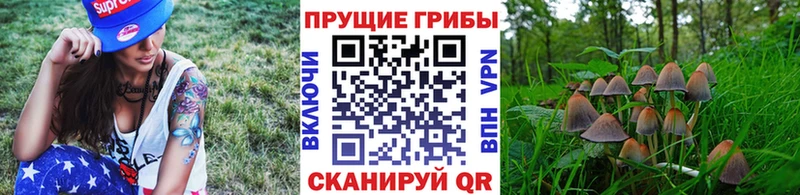 Псилоцибиновые грибы прущие грибы  Полтавская 